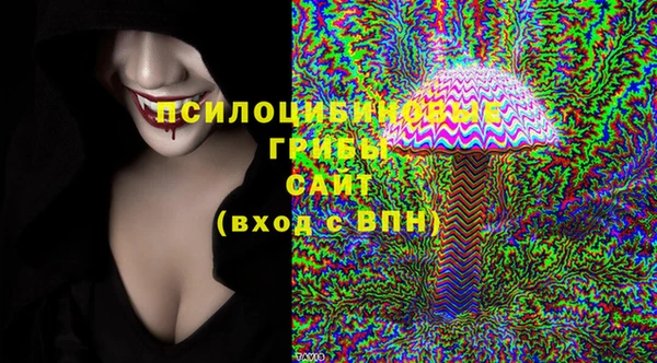 шишки Арсеньев