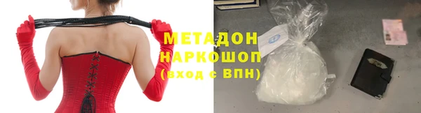 шишки Арсеньев