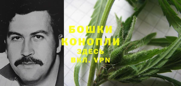 шишки Арсеньев